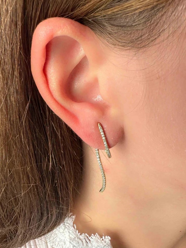 Hoop earrings with zircons Golden Elephantina