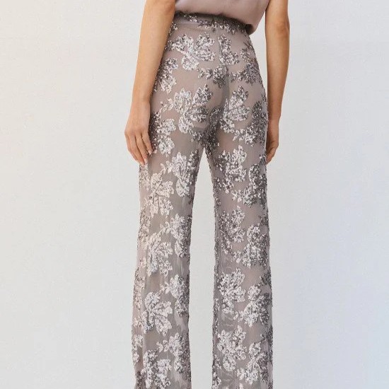 Sequined pants and petticoat Silver Access